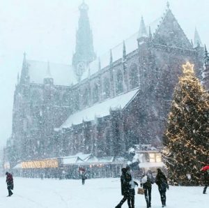 What to do in Haarlem on cold days