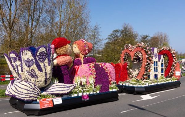 The Bollenstreek Bloemencorso ends in Haarlem.