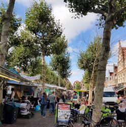 Haarlem's Botermarkt hosts an organic farmers' market on Fridays.